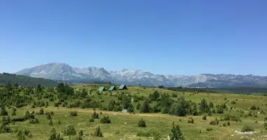 Terrain dans Zabljak, Monténégro