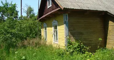 House in Nyasvizh, Belarus