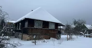 House in Zasullie, Belarus