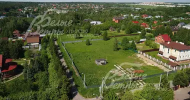 Plot of land in poselenie Pervomayskoe, Russia