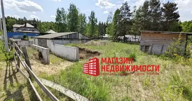 Casa en Padlabienski sielski Saviet, Bielorrusia