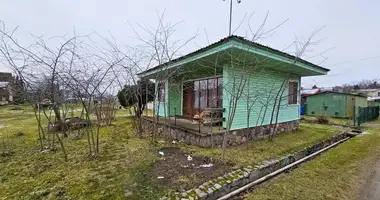 House in Kaunas, Lithuania