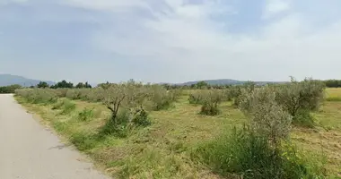 Plot of land in triadi, Greece