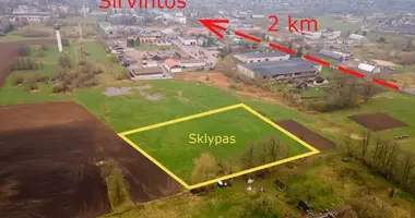 Plot of land in Sirvintu rajono savivaldybe, Lithuania