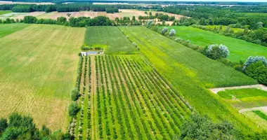 Plot of land in Radzewice, Poland