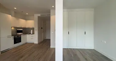 Apartamento 1 habitación en Radovici, Montenegro