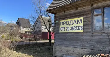 Casa en Zabalocki siel ski Saviet, Bielorrusia