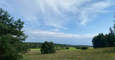 Plot of land in Setijai, Lithuania