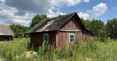 House in Dukorski sielski Saviet, Belarus