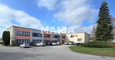 Office 2 115 m² in Talsi, Latvia
