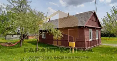 House in Ciuchinicy, Belarus