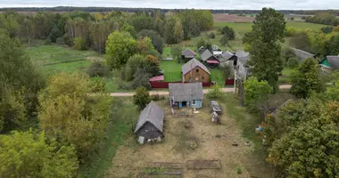 House in Zanarochskiy selskiy Sovet, Belarus