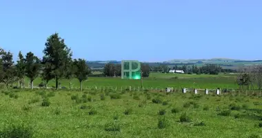 Участок земли в Punta Ballena, Уругвай