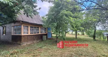 Dom w Padlabienski sielski Saviet, Białoruś
