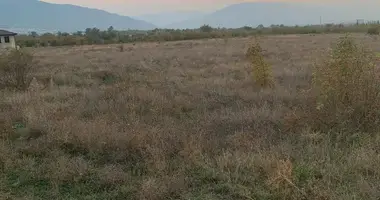 Plot of land in Bitsmendi, Georgia