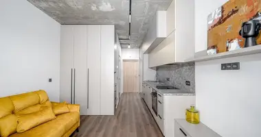 1 room apartment in Vilnius, Lithuania