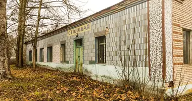 Restaurant 220 m² in Miotcanski sielski Saviet, Belarus