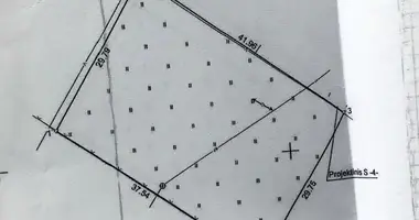 Grundstück in Druscheniken, Litauen