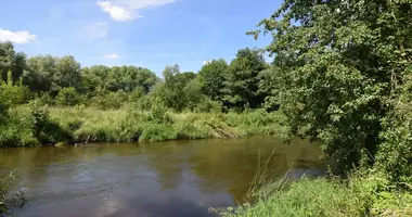 Plot of land in Liudvinavas, Lithuania