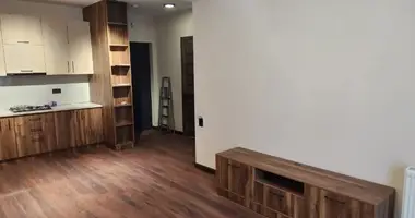 1 bedroom apartment in Tbilisi, Georgia