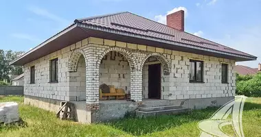 House in Malaryta, Belarus