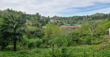 Plot of land in Batumi, Georgia