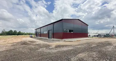 Склад 750 м² в Фаниполь, Беларусь