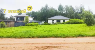 Grundstück in Bialarucki sielski Saviet, Belarus