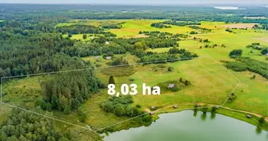 Działka w Antagave, Litwa