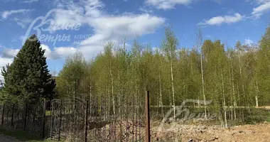 Grundstück in Föderationskreis Zentralrussland, Russland