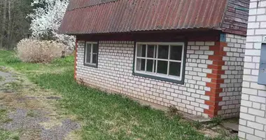 House in Papiarnianski sielski Saviet, Belarus