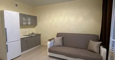 Apartamento con Amueblado, con Internet, con Frigorífico en San Petersburgo, Rusia