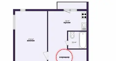 1 room apartment in cysc, Belarus