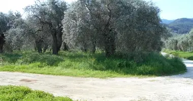 Plot of land in Thassos, Greece