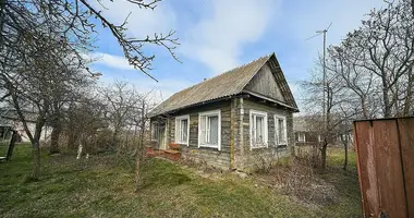 House in Kurhanski sielski Saviet, Belarus