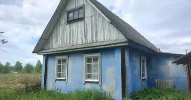 Dom w Dubrauski sielski Saviet, Białoruś
