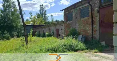 Zakład produkcyjny 1 354 m² w Nowokołosowo, Białoruś