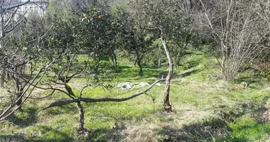 Plot of land in Chakvi, Georgia