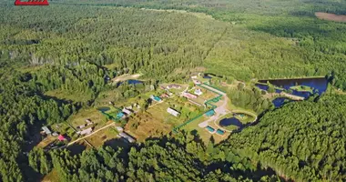Gewerbefläche 1 000 m² in Naracki sielski Saviet, Weißrussland