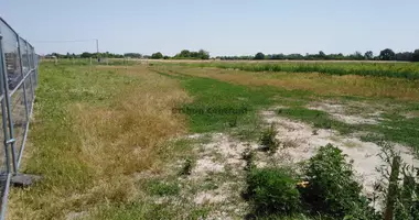 Plot of land in Alsonemedi, Hungary