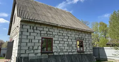 Дом в Демидовичский сельский Совет, Беларусь