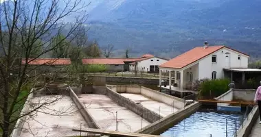 Lokale gastronomiczne 950 m² w Virpazar, Czarnogóra