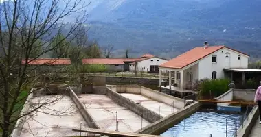 Restaurante, cafetería 950 m² en Virpazar, Montenegro