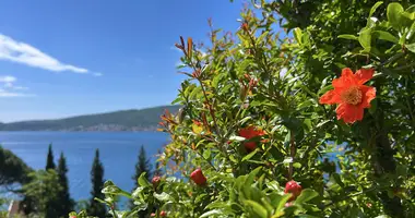 Wohnung 3 zimmer in Herceg Novi, Montenegro