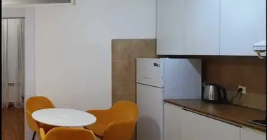 1 bedroom apartment in Tbilisi, Georgia
