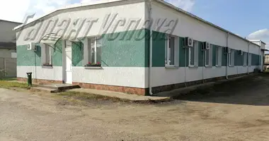 Gewerbefläche 1 m² in Brest, Weißrussland