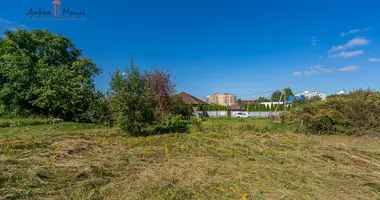 Działka w Żdanowicze, Białoruś