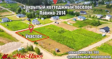 Plot of land in Zabalocki sielski Saviet, Belarus