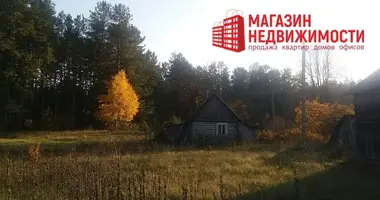 Maison dans Parecki siel ski Saviet, Biélorussie