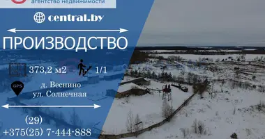 Производство 373 м² в Острошицкий сельский Совет, Беларусь